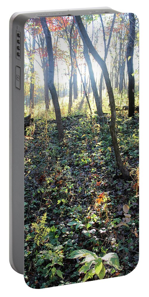 Tree Portable Battery Charger featuring the photograph Sunlight in a forest beginning of Autumn by Adam Long