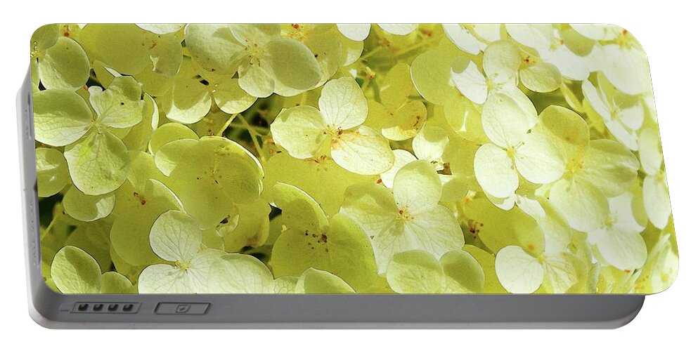 Abstract Portable Battery Charger featuring the digital art Sunlight On The Hydrangea Two by Lyle Crump