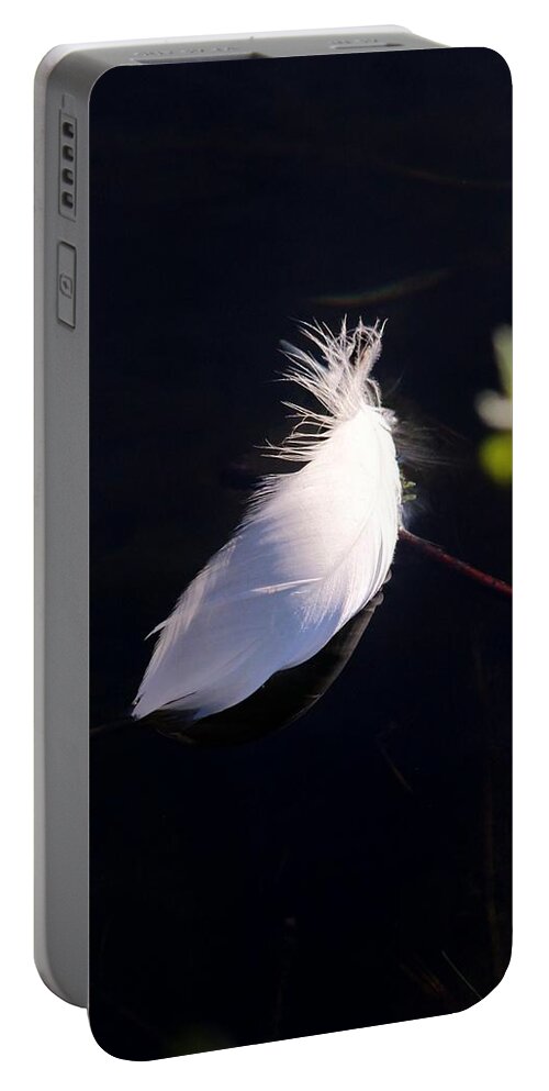 Karen Silvestri Portable Battery Charger featuring the photograph Sunlit Feather by Karen Silvestri