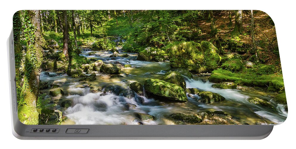 Torrent Portable Battery Charger featuring the photograph Sunny afternoon under the trees - 2 by Paul MAURICE