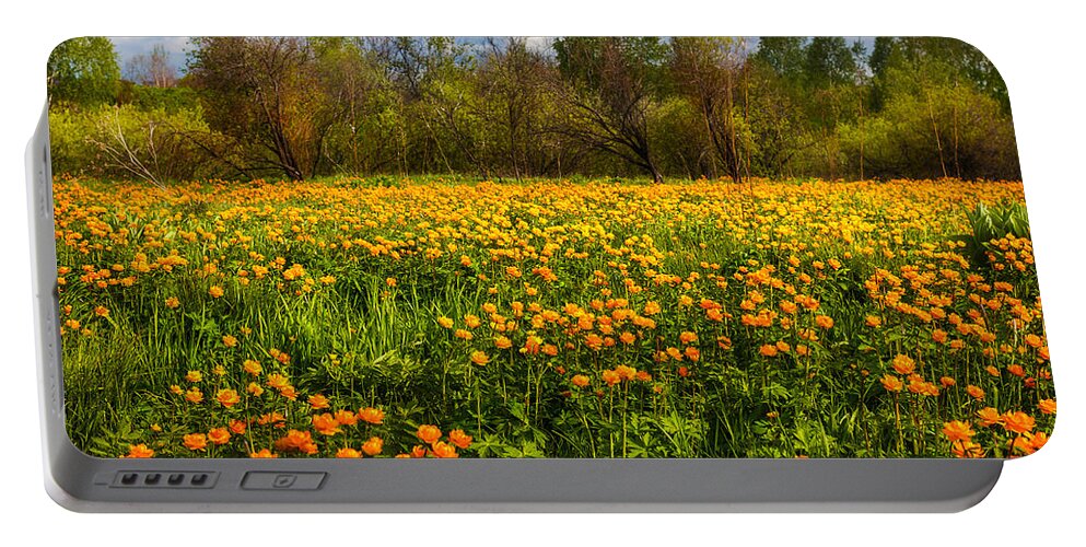 Buttercup Portable Battery Charger featuring the photograph Sunny Buttercups Field. Altai by Victor Kovchin