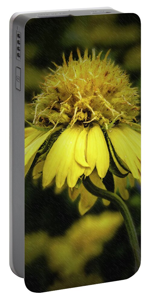 Sun Portable Battery Charger featuring the photograph Sunny Flower by Leticia Latocki