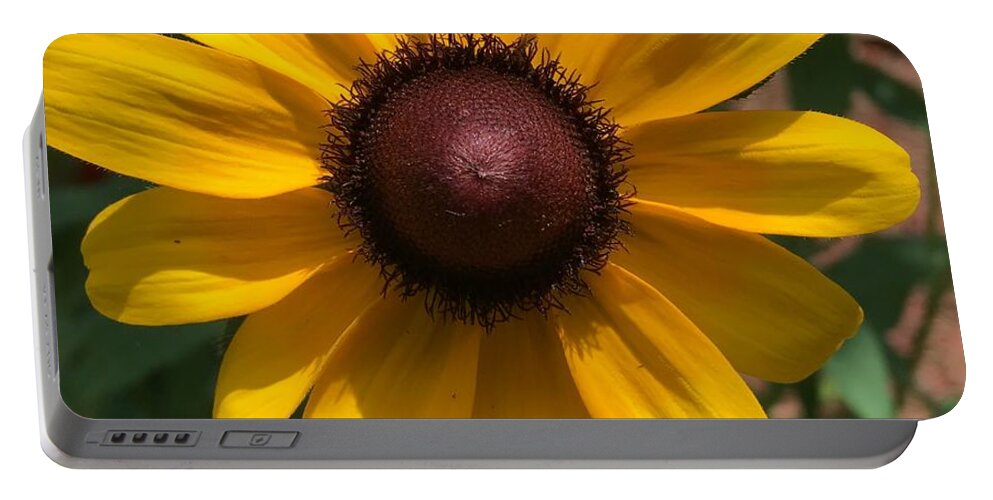 Sunflower Portable Battery Charger featuring the photograph Sunny by Pamela Henry