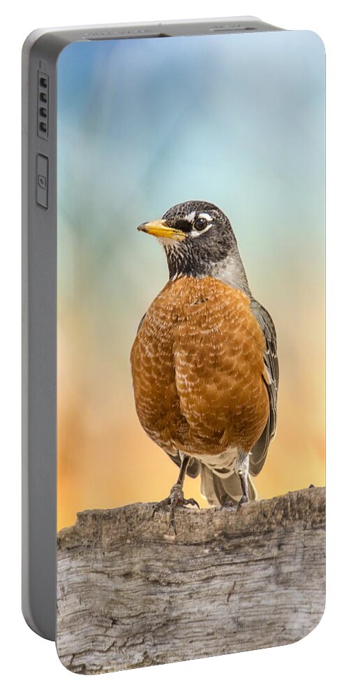 Bird Portable Battery Charger featuring the photograph Sunrise Robin by Bill and Linda Tiepelman