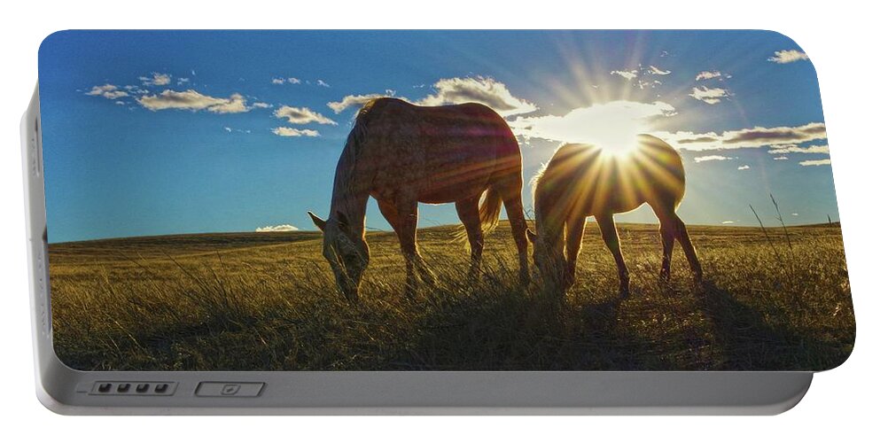 Horses Portable Battery Charger featuring the photograph Sunrise Splendor by Amanda Smith