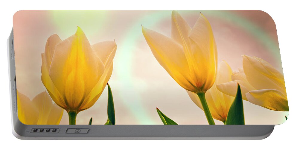 Floral Portable Battery Charger featuring the photograph Sunseekers by Jim Love