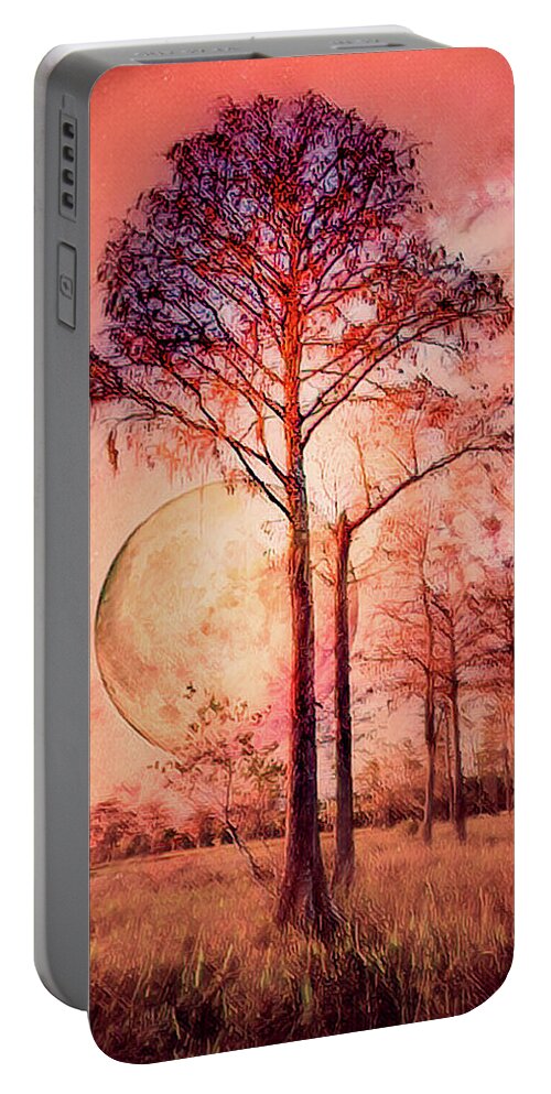 Fall Portable Battery Charger featuring the photograph Sunset Fire by Debra and Dave Vanderlaan