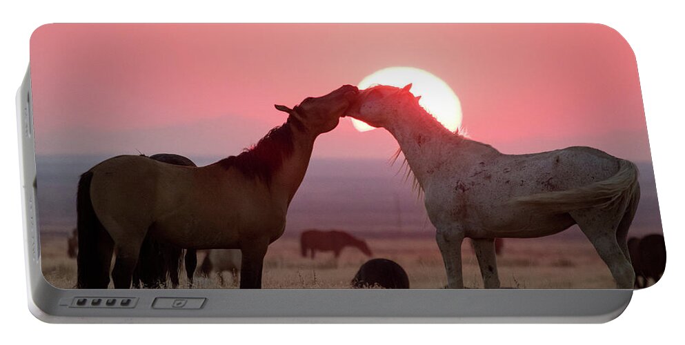 Wild Horses Portable Battery Charger featuring the photograph Sunset Horses by Wesley Aston
