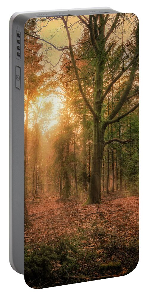 Netherlands Portable Battery Charger featuring the photograph Sunset in the forest by Tim Abeln