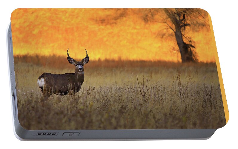Nature Portable Battery Charger featuring the photograph Sunset Lover by Kadek Susanto