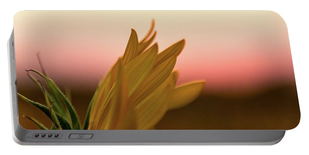 Jay Stockhaus Portable Battery Charger featuring the photograph Sunset Sunflower by Jay Stockhaus