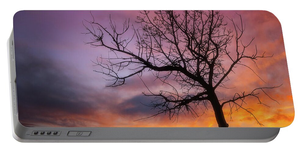 Tree Portable Battery Charger featuring the photograph Sunset Tree by Darren White