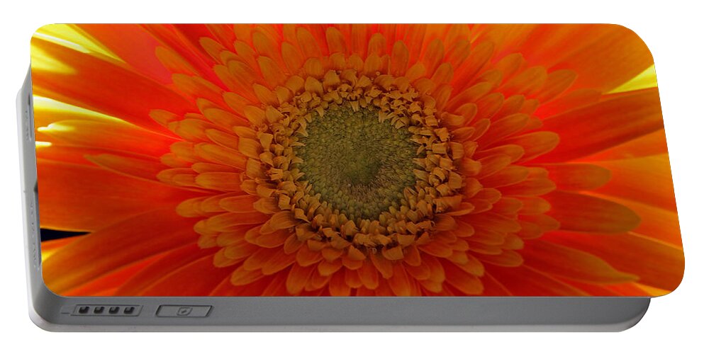 Gerber Daisy Portable Battery Charger featuring the photograph Sunshine by Juergen Roth