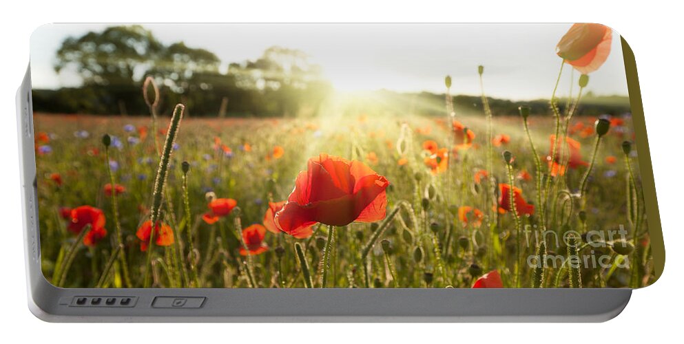 Poppies Portable Battery Charger featuring the photograph Sunshine poppy field landscape by Simon Bratt