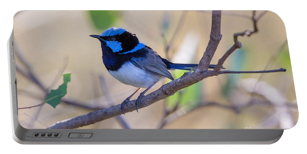Superb Fairy Wren Portable Battery Charger featuring the photograph Superb Fairy Wren by B.G. Thomson