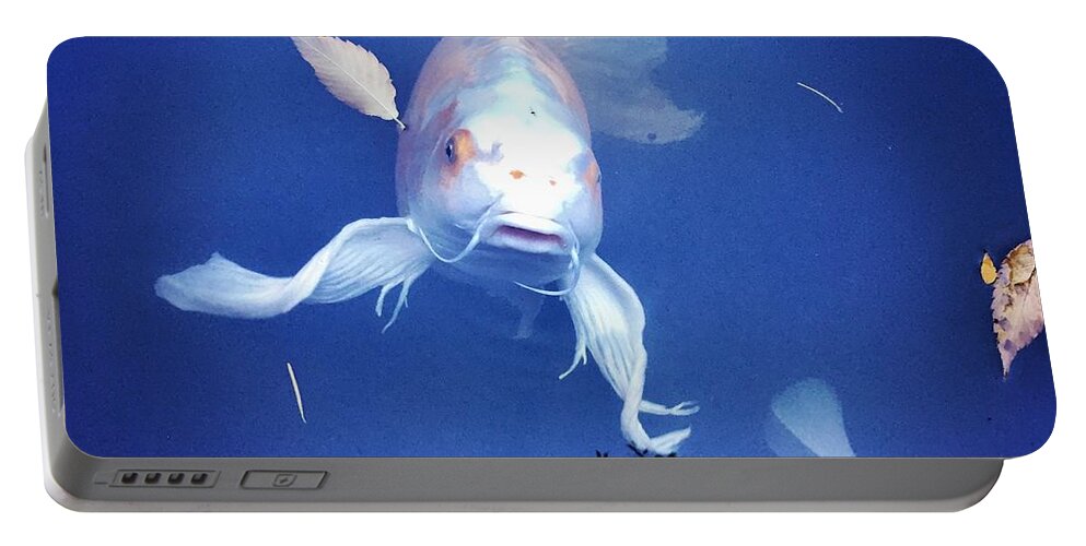 Coy Fish Zen Portable Battery Charger featuring the photograph Supercoy by Lauren Serene