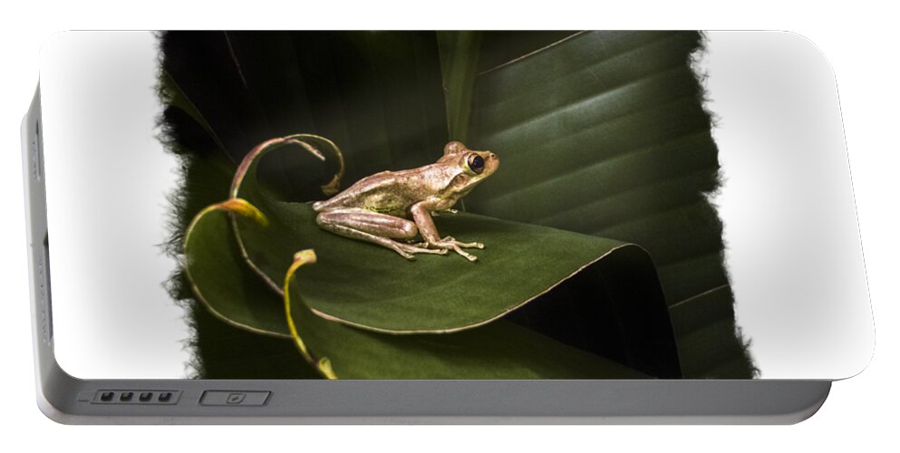 Frog Portable Battery Charger featuring the photograph Surfing the Wave Bordered by Debra and Dave Vanderlaan