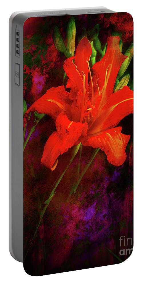 Flowers Portable Battery Charger featuring the photograph Surprise by John Anderson