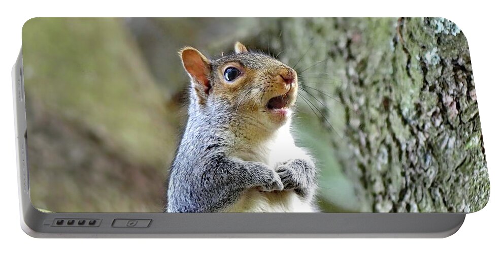 Squirrel Portable Battery Charger featuring the photograph Surprise by Lyuba Filatova