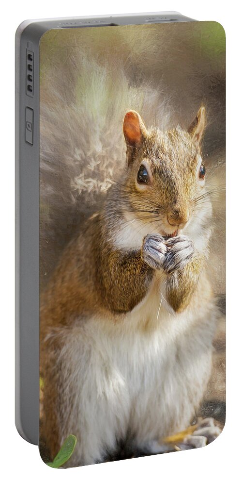 Rodent Portable Battery Charger featuring the photograph Surreptitious Squirrel by Bill and Linda Tiepelman