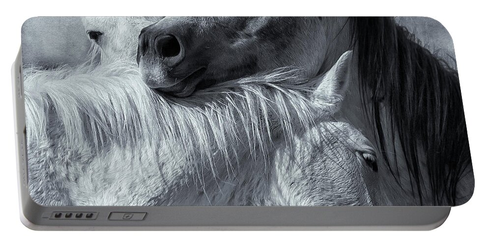 Wild Horses Portable Battery Charger featuring the photograph Surrounded by Love BW by Belinda Greb