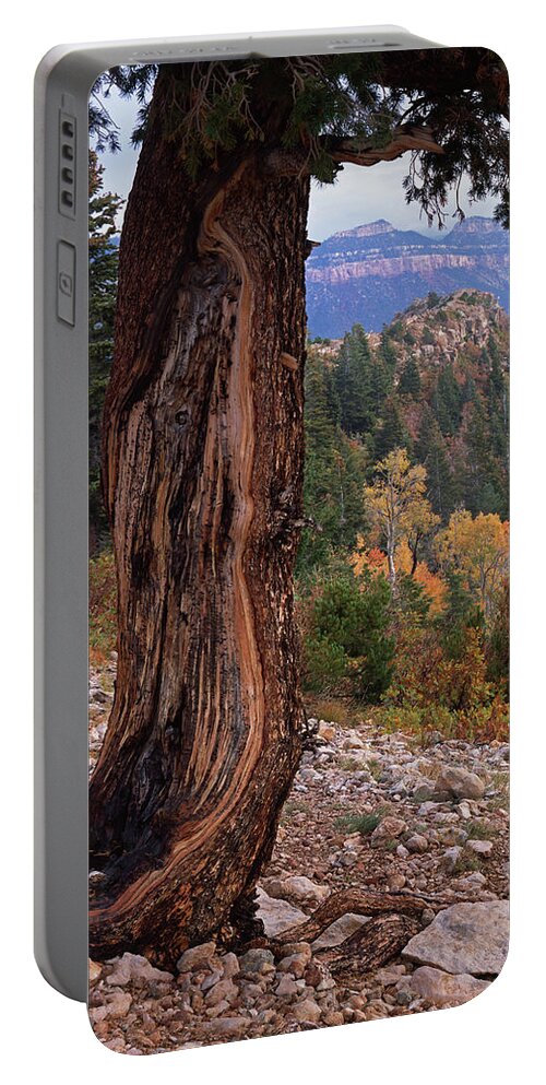 Arizona Portable Battery Charger featuring the photograph Surviving Lightning by Tom Daniel