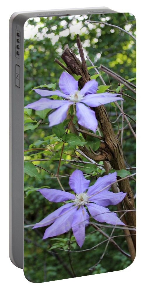 Blue Flowers Portable Battery Charger featuring the photograph Susans Clematis by Paul Meinerth