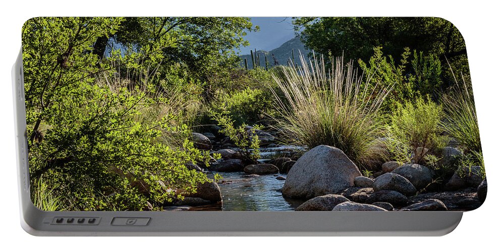 Abundance Portable Battery Charger featuring the photograph Sutherland Wash by Dennis Swena