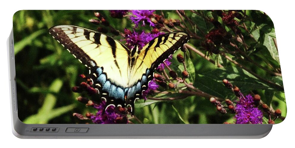 Butterfly Prints Portable Battery Charger featuring the photograph Swallowtail on Butterfly Weed by J L Zarek