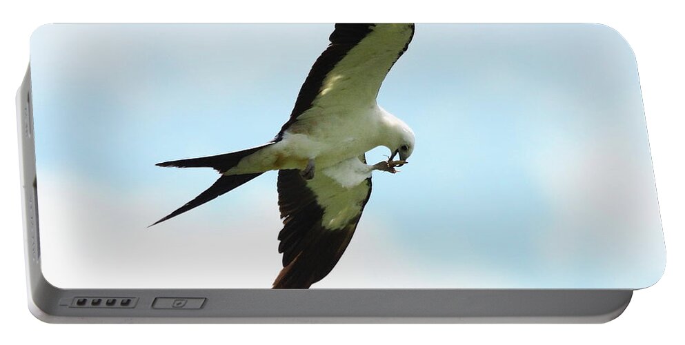 Swallow-tailed Kite Portable Battery Charger featuring the photograph Swallow-tailed Kite eating by Barbara Bowen