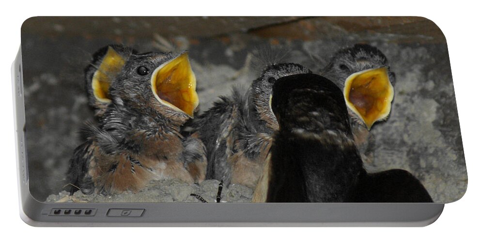 Swallows Portable Battery Charger featuring the photograph Swallows Opera by Ernest Echols