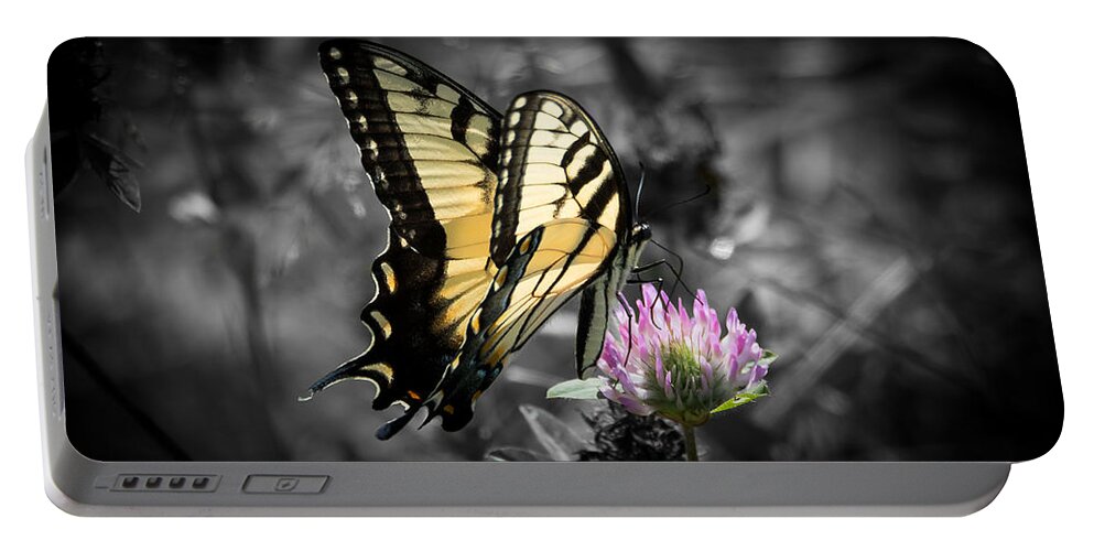 Butterfly Portable Battery Charger featuring the photograph Swallowtail Butterfly- Color Pop by Holden The Moment