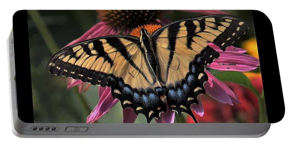 Yellow Portable Battery Charger featuring the photograph Swallowtail in the Prarie by Michael Hall