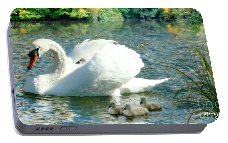 Swan Portable Battery Charger featuring the pyrography Swan and Cygnets by Morag Bates