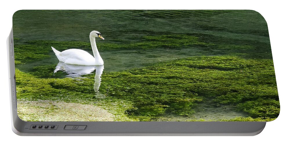 Europe Portable Battery Charger featuring the photograph Swan on the River Lathkill by Rod Johnson