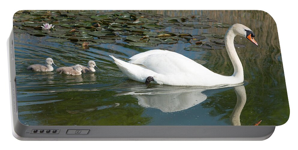 Swan Portable Battery Charger featuring the photograph Swan scenic by Andrew Michael