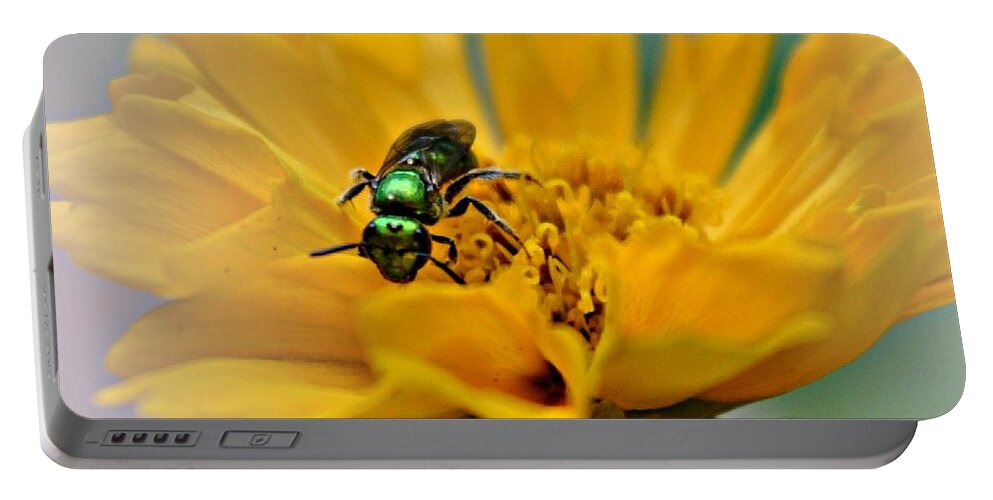 Bee Portable Battery Charger featuring the photograph Sweat Bee by Dani McEvoy