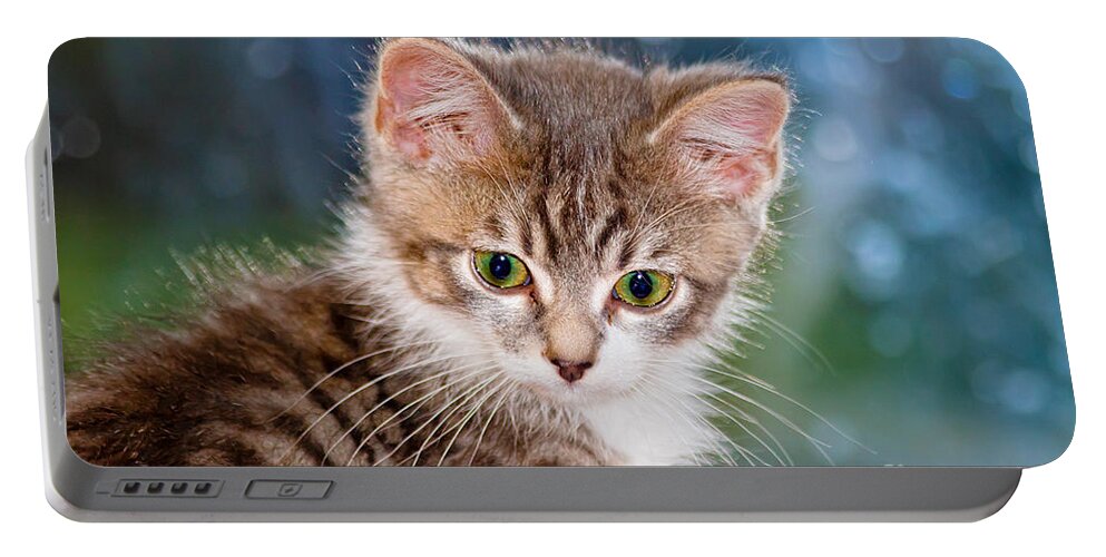 Animal Portable Battery Charger featuring the photograph Sweet Kitten by Teresa Zieba