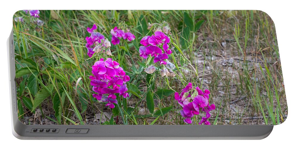 Pea Portable Battery Charger featuring the photograph Sweet pea flowers by Les Palenik
