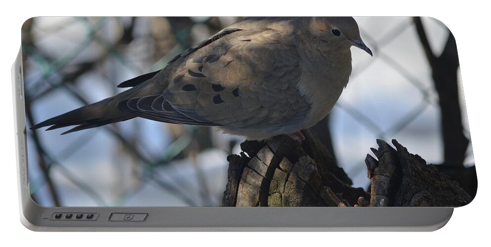 Mourning Dove Portable Battery Charger featuring the photograph Sweetness by Cheryl Charette
