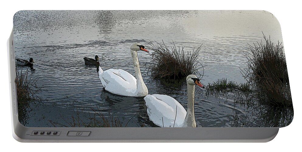 Swan Portable Battery Charger featuring the photograph Symmetry - altered by Aggy Duveen