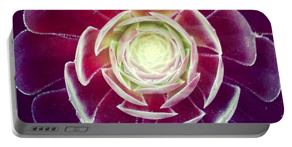 Plant Portable Battery Charger featuring the photograph Symmetry by Denise Railey