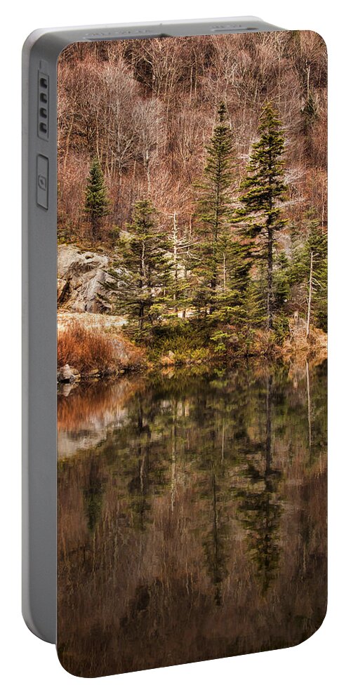 Symmetrical Portable Battery Charger featuring the photograph Symmetry by Heather Applegate