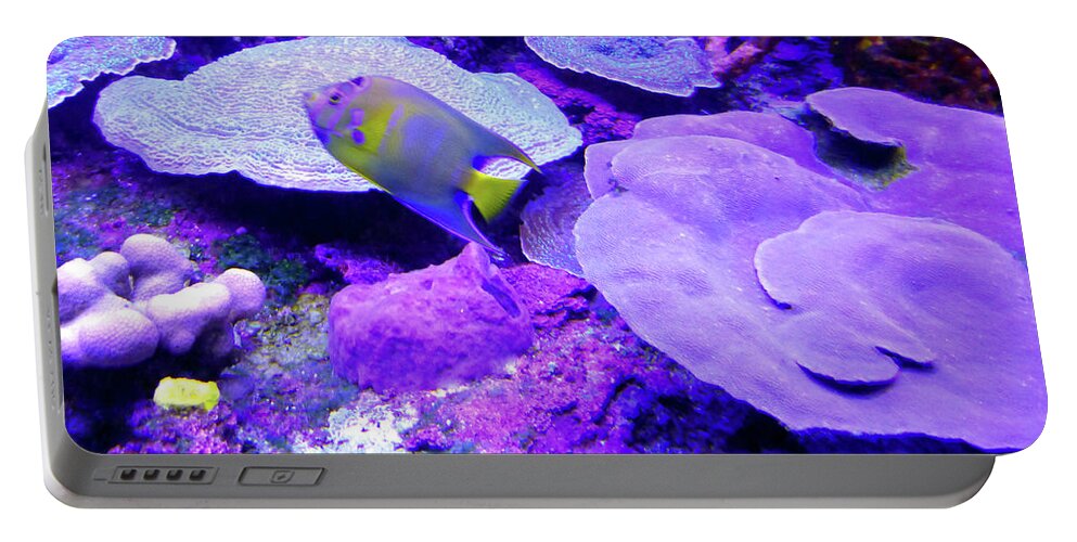 Tropical Portable Battery Charger featuring the photograph TA Purple Coral and Fish by Francesca Mackenney