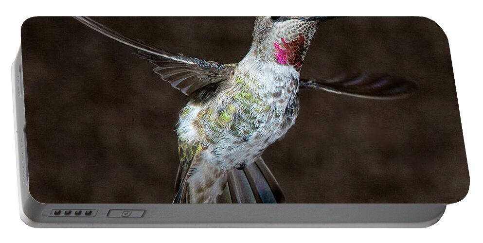 Hummingbird Portable Battery Charger featuring the photograph Take My Good Side Please by Patrick Campbell