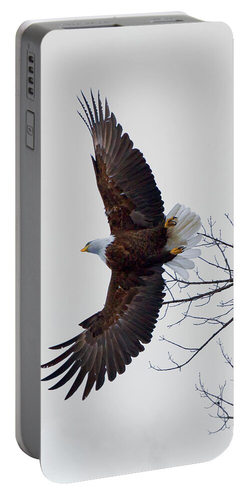 Eagle Portable Battery Charger featuring the photograph Take Off by Nancy Dunivin