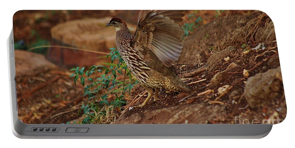 Erckel's Francolin Portable Battery Charger featuring the photograph Taking Flight by Craig Wood