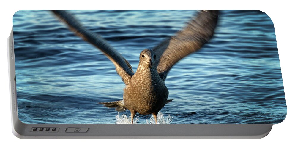 Sea Gull Portable Battery Charger featuring the photograph Taking off by Inge Riis McDonald