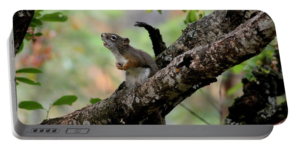 Squirrel Portable Battery Charger featuring the photograph Talking Squirrel by Leone Lund