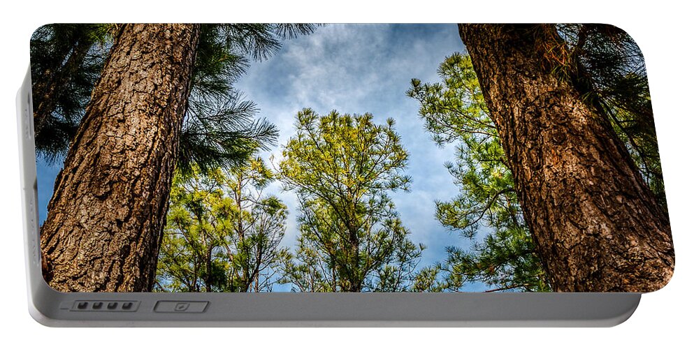 Sky Portable Battery Charger featuring the photograph Tall Pines by Doug Long
